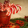 Red and white candy canes in a tin with berries, pine — scent inspiration for Candy Cane fragrance oil