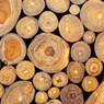 stacked cut wood log ends showing rings — scent inspiration for Mahogany Teakwood fragrance oil