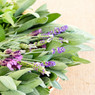 Purple lavender sprigs and green sage leaves bundled together — scent inspiration for Wild Lavender & Sage fragrance oil