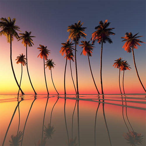 A serene sunset scene with silhouetted palm trees leaning over a calm reflective water surface, displaying their mirror images. The gradient sky transitions from a warm orange near the horizon to a deep blue at the top, suggesting a peaceful tropical evening.