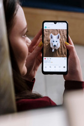 The Evolution of Retail in the Independent Pet Industry