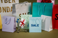 Preparing for the Holiday Rush as an Independent Pet Store: Smart Budgeting Tips to Maximize Profit