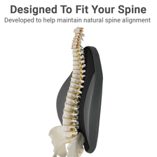 Designed to follow that natural curvature of your spine.