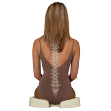 Kabooti Donut Coccyx Relief Cushion