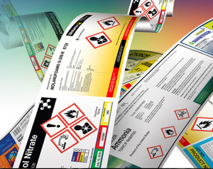 Revolutionize Your Label Printing with Epson ColorWorks