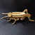 Cricket (3-D Wooden Puzzle)