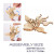 Animals - Goldfish - moving (3-D Wooden Puzzle)
