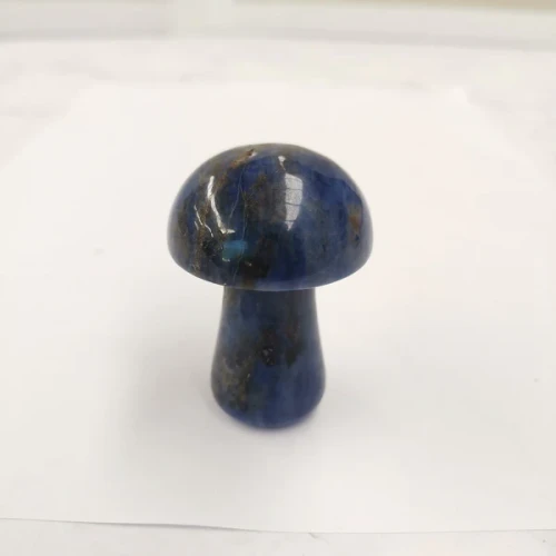 Crystal Mushroom Lapis

5cm