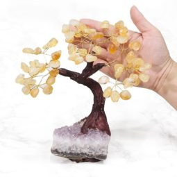 
Gemstone Bonsai Tree Citrine on Amethyst Cluster 
2 main branches, 8 sub branches & 24 wire branches.
Set on a beautiful cluster of Amethyst
Approx 20 x 11cm