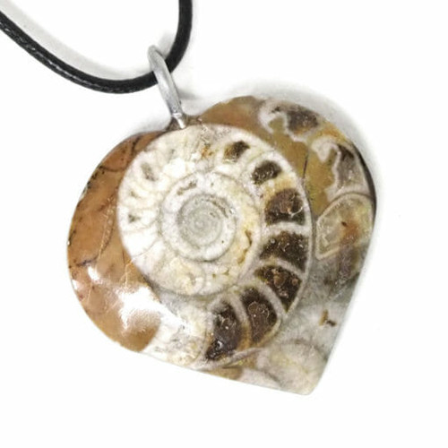 Pendant Ancient Fossil Ammonite 

A heart shaped ancient fossil Ammonite pendant with a black necklace.
Direct source from Morocco.

Each Ammonite Pendant –
Approximately: 2.5cm to 4cm and 8grams to 25grams.

Important Notice:
All the Ammonite is one of a kind. The actual products are vary in shape, weight, colour and pattern, the product images shown are examples. Your purchase will be different from the images. The variances do not affect the quality of the product.