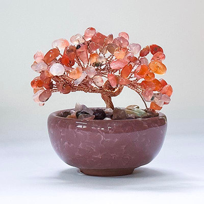 Gemstone Tree Bonsai Carnelian
A Bonsai Gemstone Fortune Tree in a pot is a decorative, handcrafted Feng Shui item designed to attract wealth, positive energy, and balance.
Height & Width approx: 8x8cm. Base diameter: 6cm approx

Carnelian is a stone of power. Brings confidence and passion. It assists in finding and fulfilling passions and desires. It can help bring vitality and energy to any action or situation Creativity, manifestation, good luck, precision, analytical capabilities, verbal skill, protection, protection from anger, jealousy and fear, peace, spirituality, reduce sorrow. Used for open sores, rejuvenate tissues and cells, rheumatism, kidney stones & other kidney problems, gall stones, colds, pollen allergies, aids female fertility, sexual problems. It is good for anything that is requiring action.
