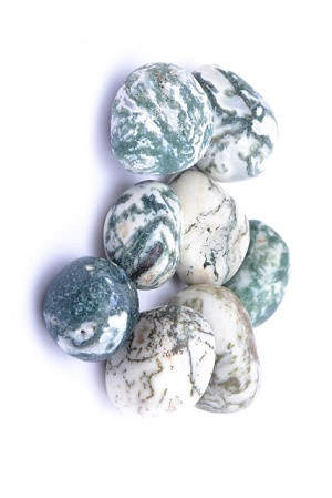 Tumble Tree Agate
Average approx size 1.5-3cm