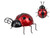 TIN LADYBUG 
For indoor outdoor decor
Made from metal
Approx 17cm