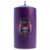 Spirit Of The Orient Pillar Candle Akasha Lg
Sandalwood and patchouli create a warm base sweetened with pink musk and orange blossom.

Akasha is the word for the first element and the basis of all things in the natural world.

Product Features:
Made in Australia
Cruelty-free and vegan
Scented with phthalate-free fragrance
Lead-free cotton wick
Coloured and scented throughout entire candle
Size/Duration: 65 x 130mm / 60 hour burn time