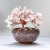 Gemstone Tree Bonsai Rose Quartz
A Bonsai Gemstone Fortune Tree in a pot is a decorative & made from resin. Handcrafted Feng Shui item designed to attract wealth, positive energy, and balance.
Approx 10 x x9cm