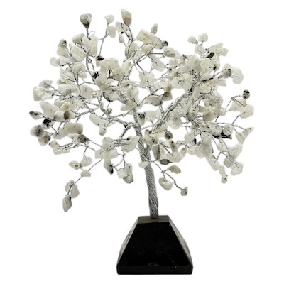 Crystal Tree 300 Moonstone & Tourmaline Base
Beautiful Tree set in Tourmaline Base
Approx 16x20cm