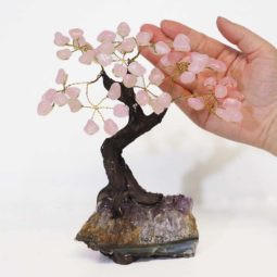 
Rose Quartz Gemstone Bonsai Tree on Amethyst Cluster 
2 main branches, 8 sub branches & 24 wire branches.
Set on a beautiful cluster of Amethyst
Approx 20 x 11cm