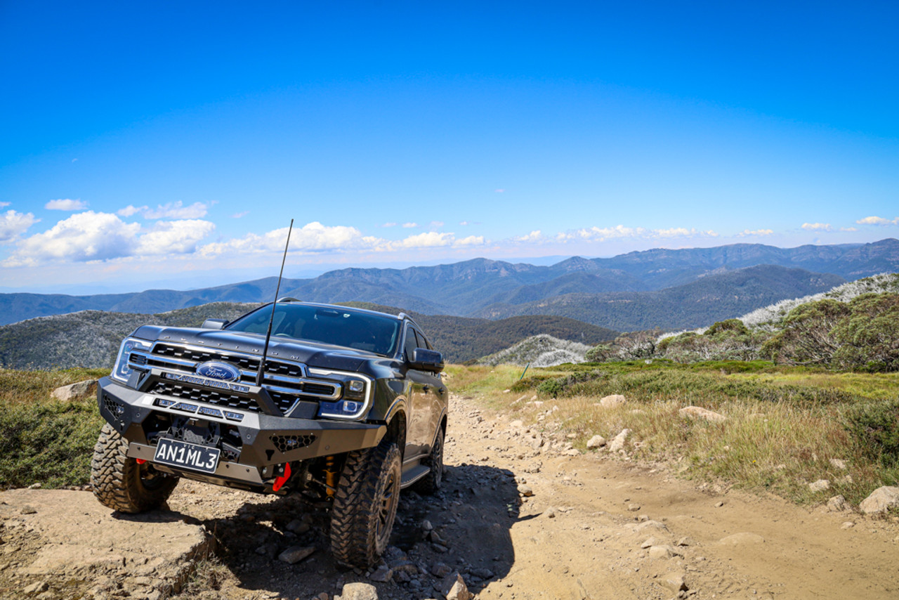 Predator Bar with optional lights and Stealth Hoop