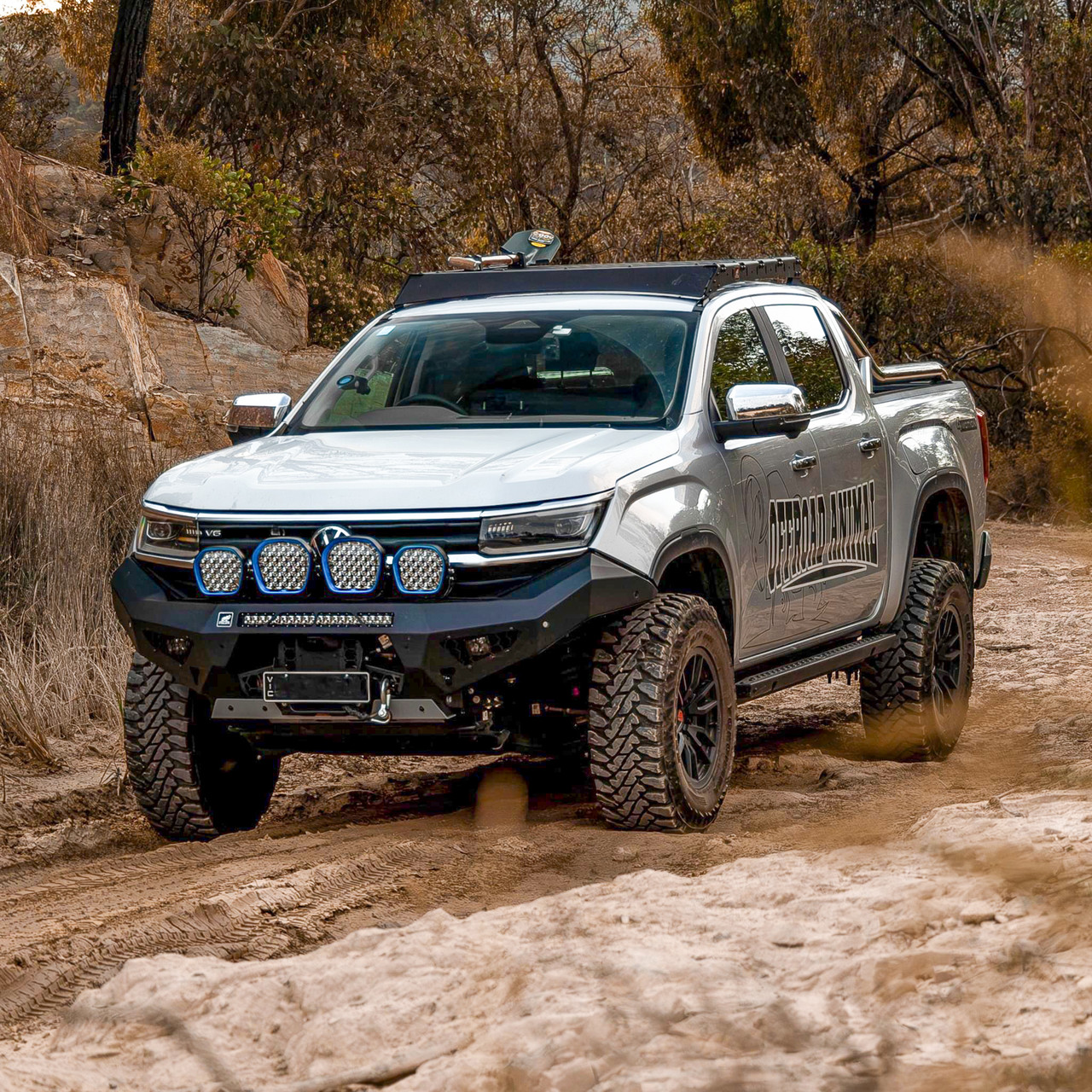 Amarok Predator bar with 4 Stedi lights