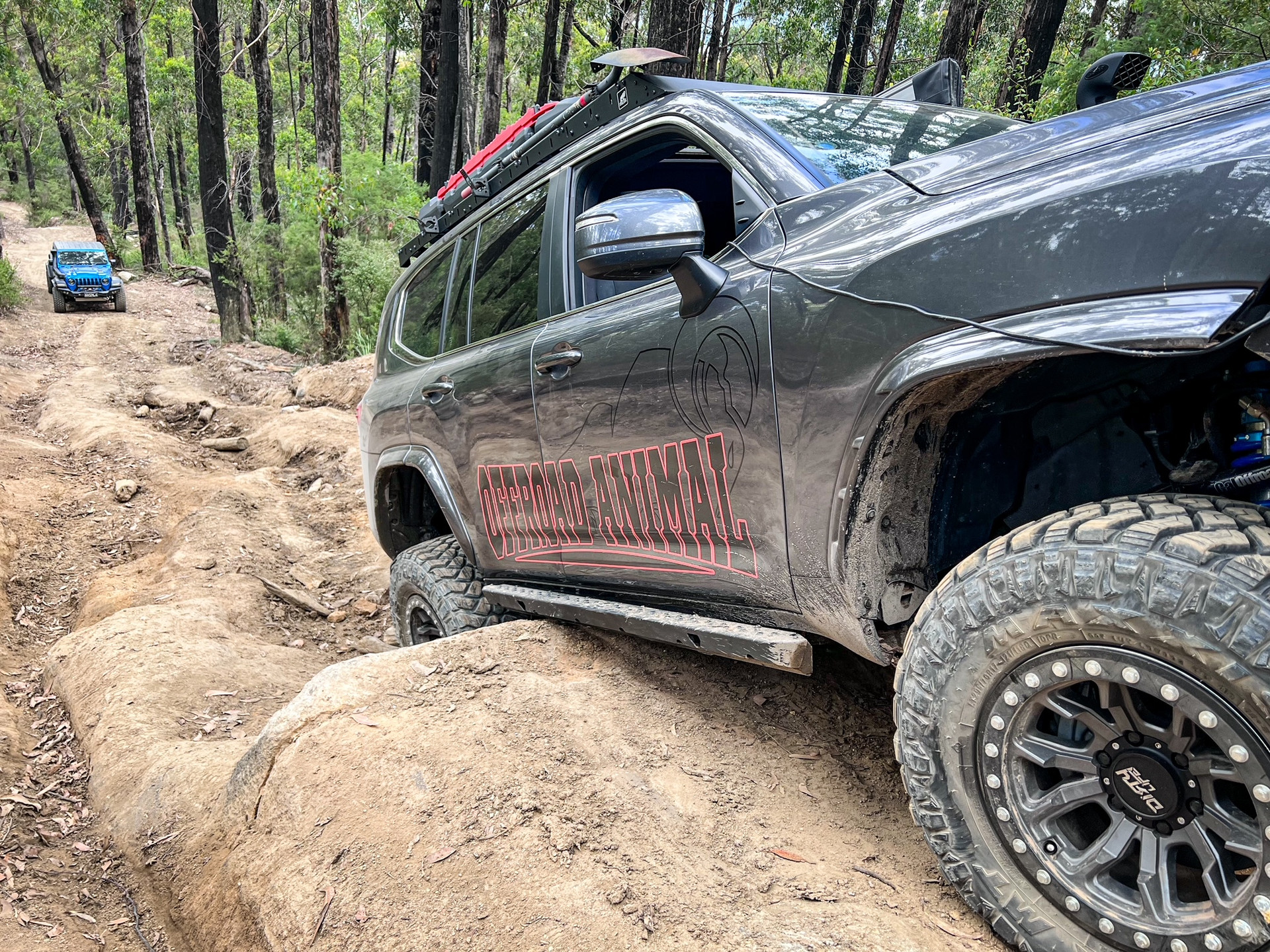 Offroad Animal Rock Sliders - Toyota Land Cruiser 300 Series 2022