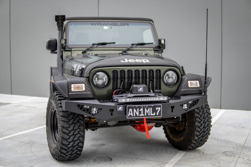 Predator bar to suit TJ Wrangler