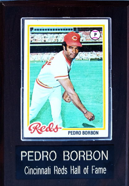 Pedro Borbon Cincinnati Reds Player Plaque