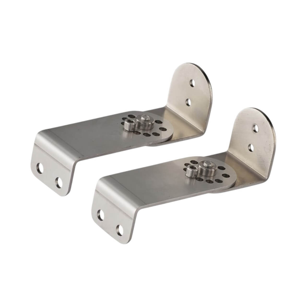 Raytec SPX Swivel Mount Bracket Kit, Stainless Steel - Pacific Automation