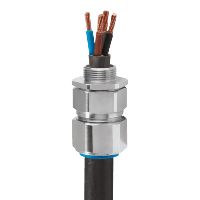 Armoured Cable Glands