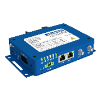 Cellular Routers