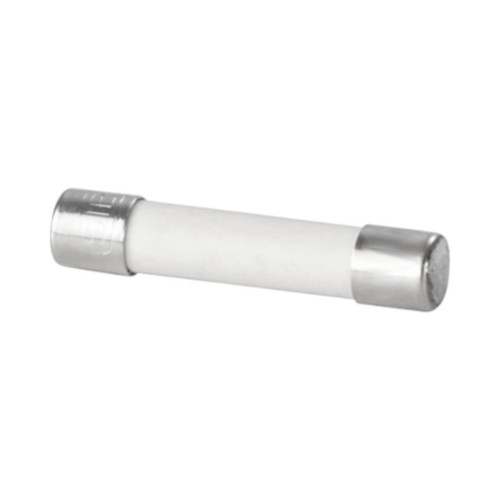 Weidmuller G 25/1.0A/M RT Miniature Cartridge Fuse, 10A, G-Si 5x25mm, Medium Time-Lag, 250V, Grey