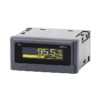 Process Input Panel Displays