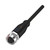 Balluff BCC Single-Ended Cable, M12 Female Straight, 4-Pin A-Coded, 5m PVC, 4A, 250V AC/DC, IP67