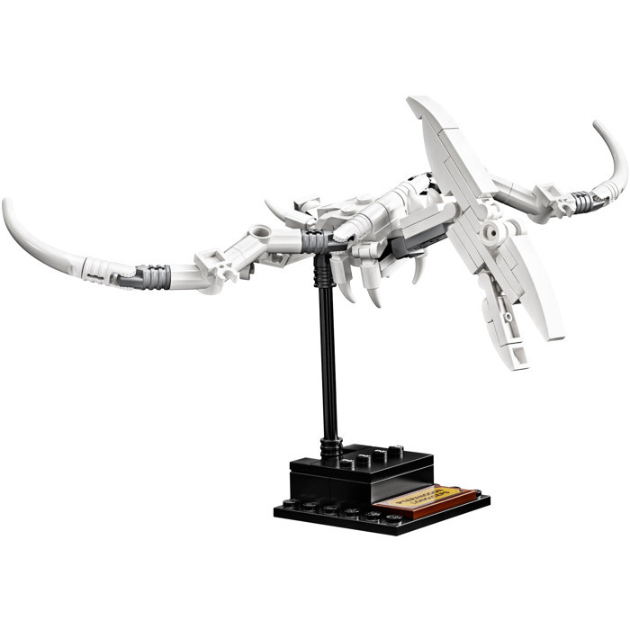 21320 - Dinosaur Fossils