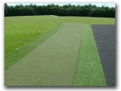 Martin Hall 5 Star Perfect ReACTION Tee Lines