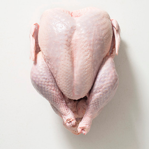Pasture Raised Turkey Pasture Raised Turkey