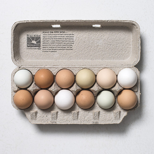 Farm Fresh Eggs, laid by pasture raised hens.