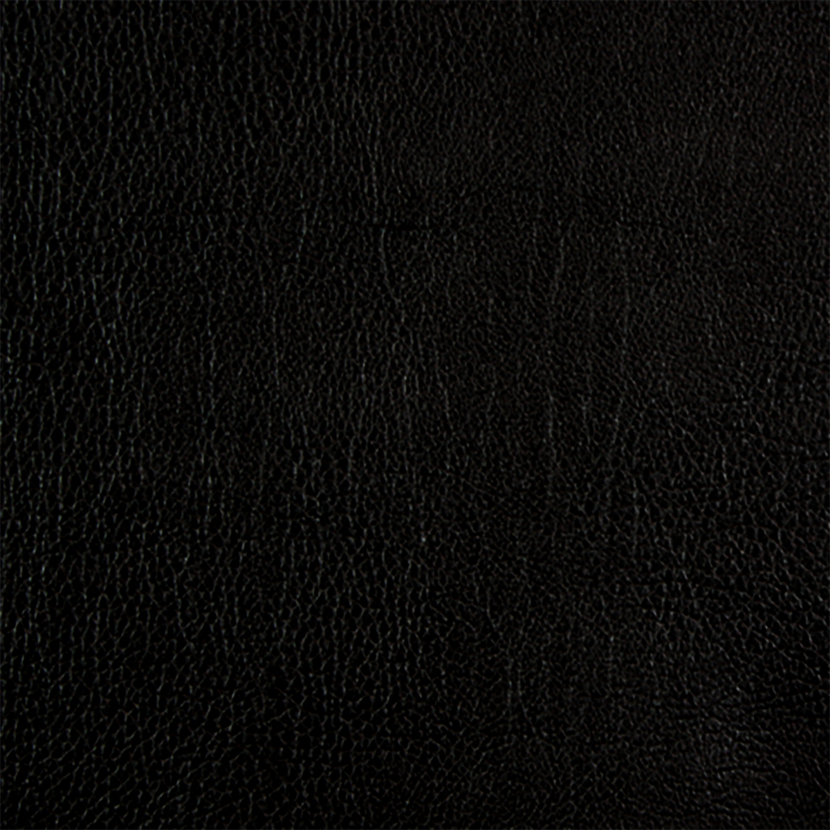 (B - Vinyl) Roman Black