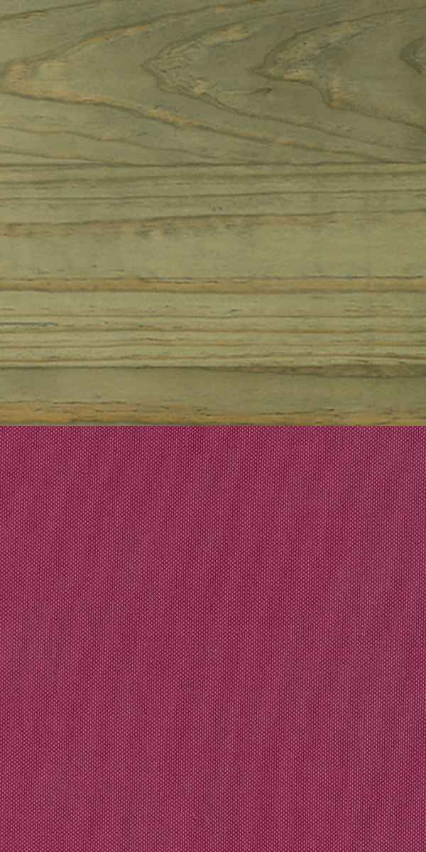 10-silvertex-raspberry.jpg