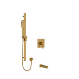 DISCONTINUED-Paradox Kit 1244 Trim - Brushed Gold | Model Number: TKIT1244PXTQBG - Product Knockout