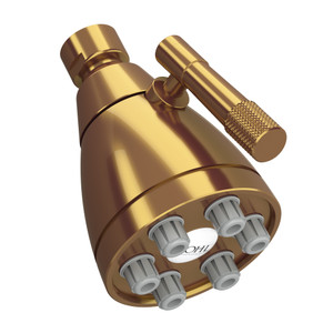 3 Inch Graceline 6-Jet Adjustable Showerhead - French Brass | Model Number: MB0190FB - Product Knockout