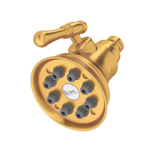 DISCONTINUED 4" Multi-Function Showerhead - Satin Gold | Model Number: WI0123SG