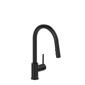 DISCONTINUED Kitchen faucet with spray - Black | Model Number: NJ201BK-10