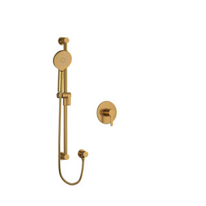 Type P (Pressure Balance) Shower - Brushed Gold | Model Number: NB54BG-EX