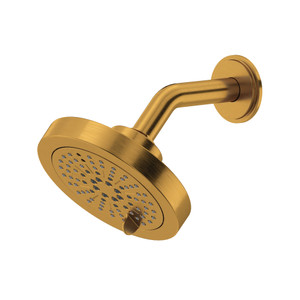 5" 6-Function Showerhead With Arm - Brushed Gold | Model Number: 386BG-15