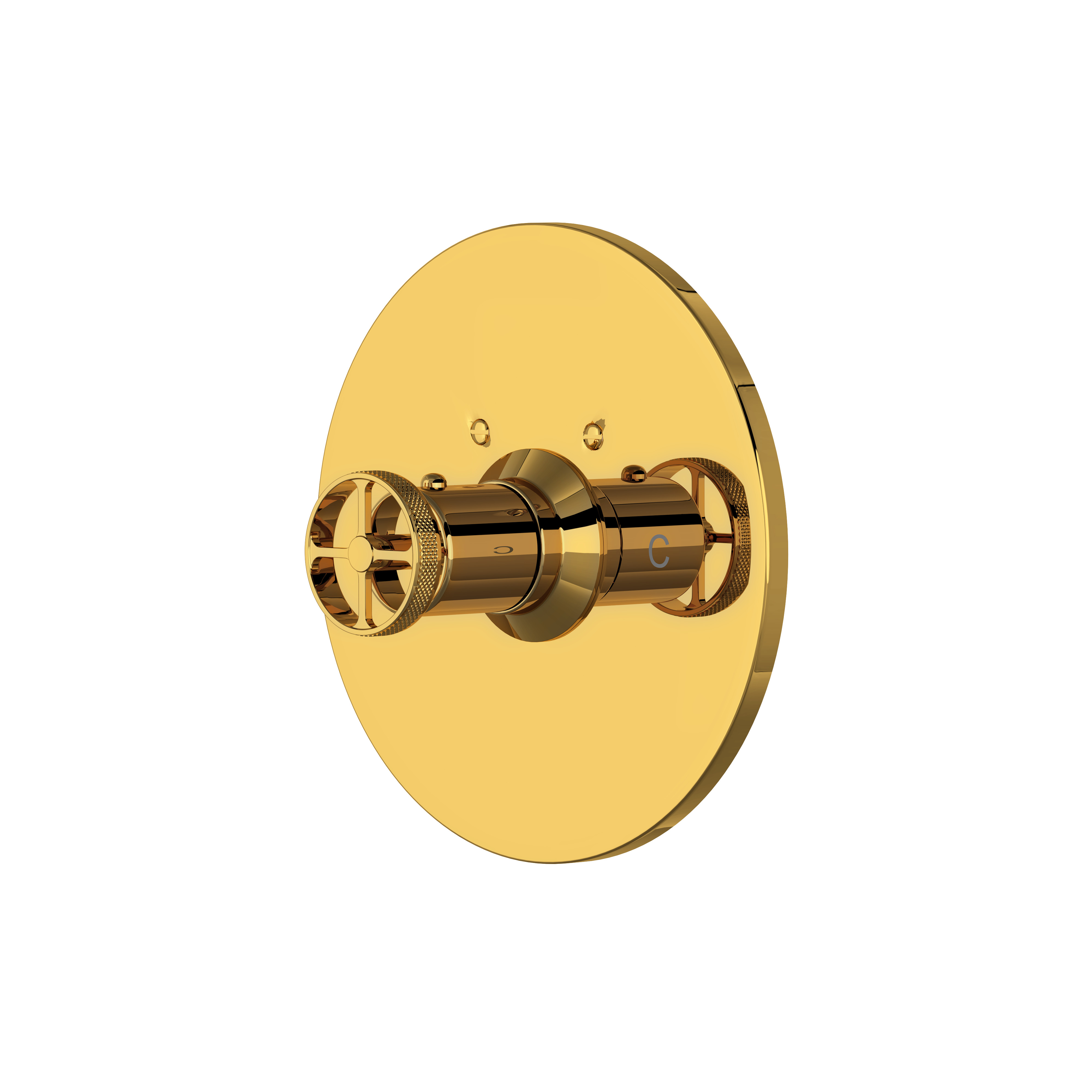 Campo Thermostatic Trim Plate without Volume Control - Unlacquered Brass | Model Number: A4914IWULB - Product Knockout