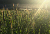 Fall Soil Care for Organic Flower Farms: Preparing for a Bountiful Spring