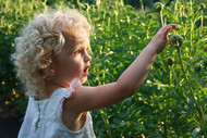 Staying in Touch With Nature...