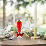 Glass or Disposable Drinking and Champagne Glasses?