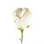 White Rose Balloon Flower Design Closer-Up