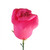 Pink Rose Balloon Flower Design Closer-Up